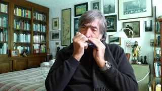 Video thumbnail for Giuliano. Le Plat Pays. Harmonica tremolo Seydel Fanfare by Giuliano Gennari