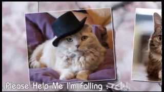 Please Help Me I'm Falling : Hank Locklin