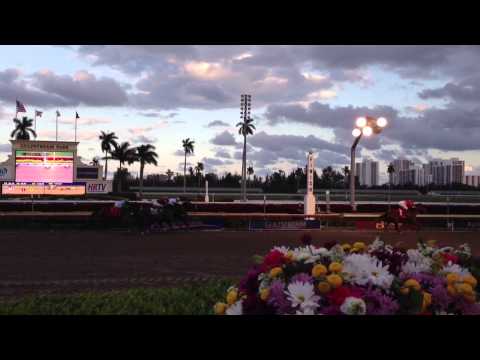 Donn Handicap Finish