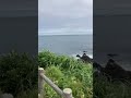channel