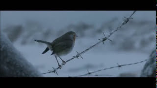 Paul McCartney - Pipes Of Peace @ Roman Lopez De La Serna