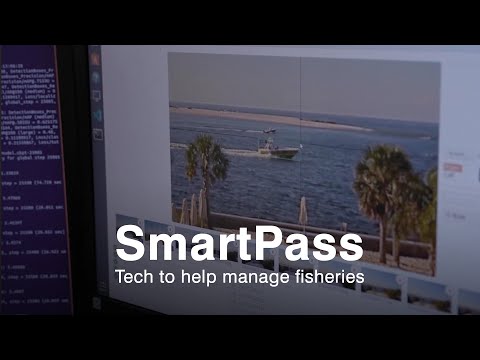 One Cool Thing: Using AI to Count Fish