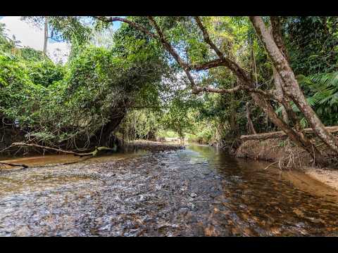 141 Jackson Road, Shell Pocket, QLD 4855, 1 રૂમ, 1 બાથરૂમ, House