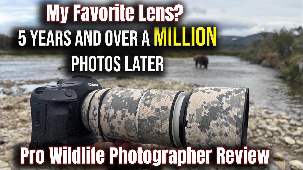 Canon RF 100-400mm – Tips for Wildlife & Bird Photography