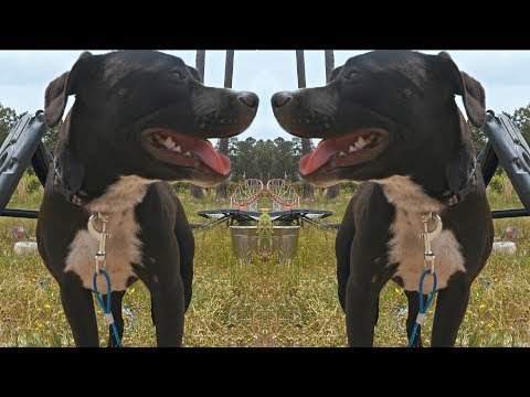 Purp Cobain x Drew Dinero - Hallelujah (4K) - sony a6500