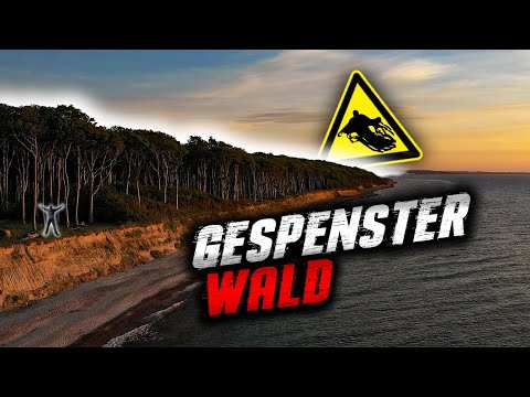 FINDEN WIR UNSERE SCHLAFPLÄTZE WIEDER?😅 EINE NACHT IM GESPENSTERWALD AN DER OSTSEE!