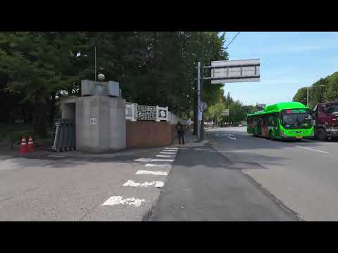 korea city seoul  Gwanghwamun Myeong dong Bicycle Tour 20250915