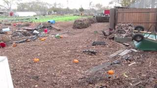 preview picture of video 'Hurricane Sandy Relief for Red Hook Community Farm'