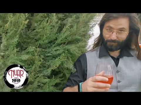 Musica matrimonio Roma