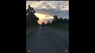 Download lagu wheelie ex5 mp3