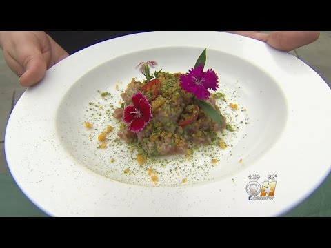 Dallas Arboretum Hosts Food & Wine Festival