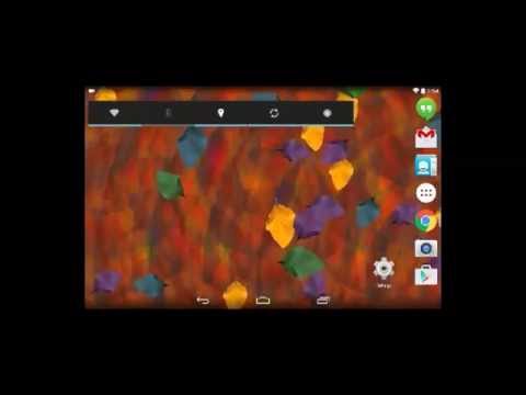 Colorful Autumn Live Wallpaper Video