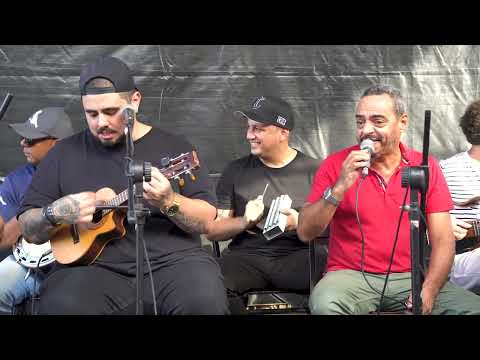 Papacaça 35 anos de composições