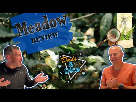 MEADOW | Board Game | Review and Afterthoughts