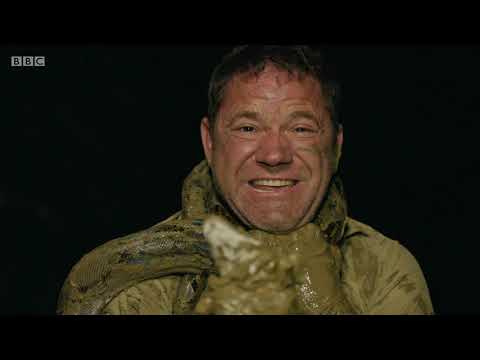 BBC Deadly 60, Series 4, Borneo