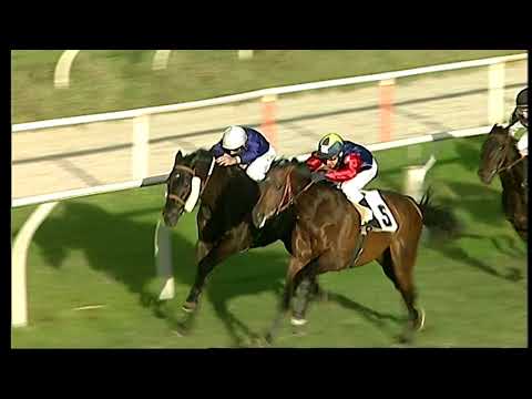 Galoppo 24/12/2020 - 6ª corsa