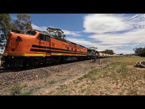 CLF2 & CM3312 Manildra NSW.  Tue 21st Jan 2025