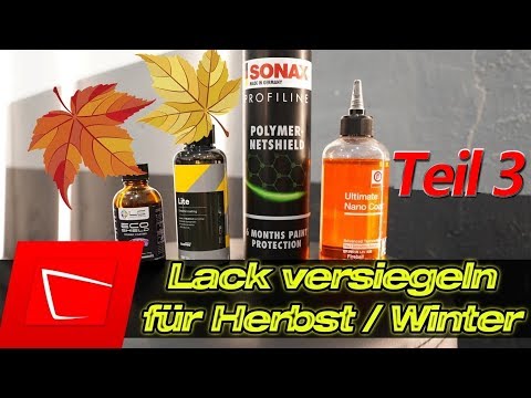 10000km Update 3,5 Monate später Eco Shield, Polymer Netshield, Fireball Nano Coat, Carpro Lite