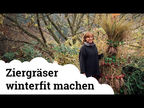 , title : 'Ziergräser winterfest machen und adventlich schmücken! ☃️❄️'