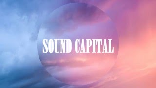 Wild Yaks - Paradise