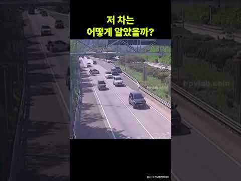 저 차는 어떻게 알았을까? 상습 정체구간, 추돌 직전 먼저 움직인 차량 #고속도로 #후미추돌 #방어운전 #shorts