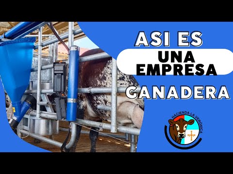 ASÍ ES UNA EMPRESA GANADERA...