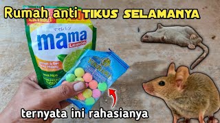 Download lagu Ternyata cukup pake ini, TIKUS pergi selamanya !! mp3 Download lagu Ternyata cukup pake ini, TIKUS pergi selamanya !! mp3