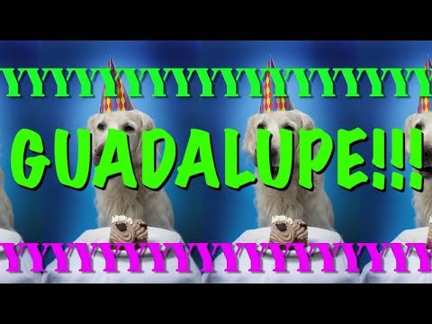 HAPPY BIRTHDAY GUADALUPE! - EPIC Happy Birthday Song