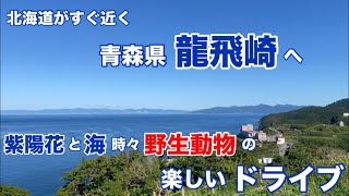 [A fun drive with hydrangeas, the sea, and occasional wildlife] Tappizaki, Aomori Prefecture
