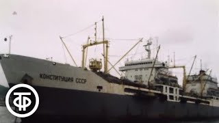 Богатство океана - на стол народный. Новости. Эфир 6 июля 1982