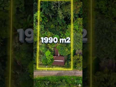 🌳 ¡FINCA DE 128 HECTÁREAS EN VENTA! 🌳