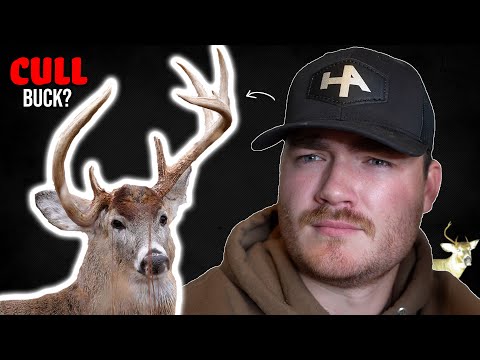 The Dirty Truth About CULL BUCKS (9+ years of Deer Research Explained)