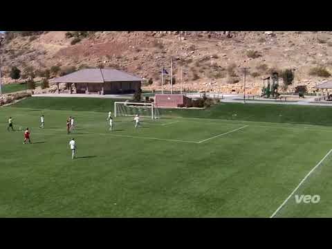 2021 Summer Shot Stopping