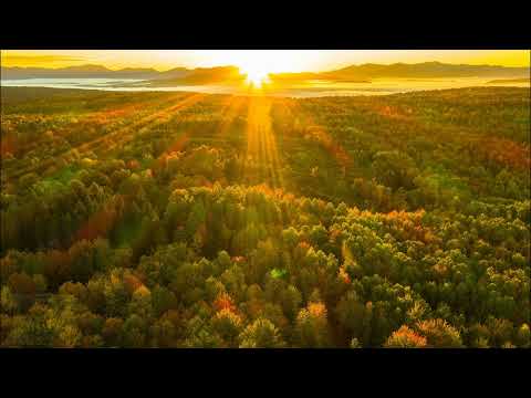 Dimax White   Crazy Vladi Remix