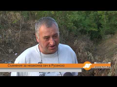 Съмнения за незаконна сеч в Русенско