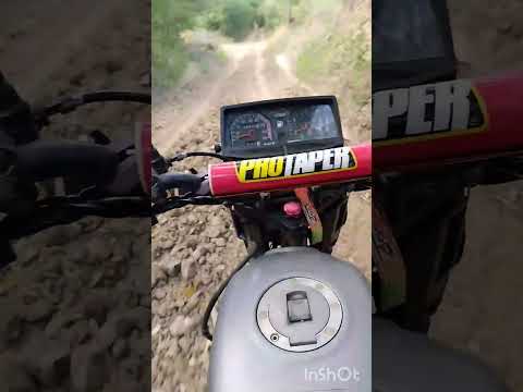 zaraza estado guarico