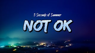 Cover art for Not Okay
