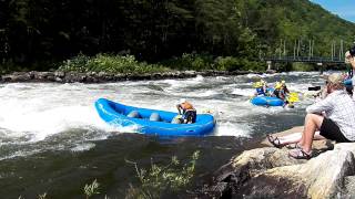 preview picture of video 'Ocoee River Olympic Section Raft Dumping.MP4'