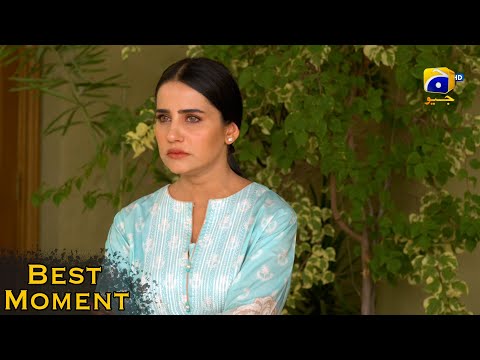 Grift Episode 85 || Ali Abbas - Saniya Shamshad || 𝐁𝐞𝐬𝐭 𝐌𝐨𝐦𝐞𝐧𝐭 𝟎𝟗 || Har Pal Geo