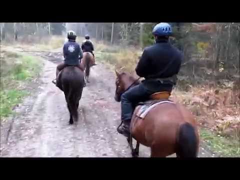 Jazda konna jesienią w gospodarstwie agroturystycznym ,,Pod Lipą".