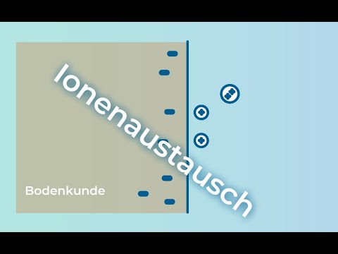 Bodenkunde verstehen – Ionenaustausch