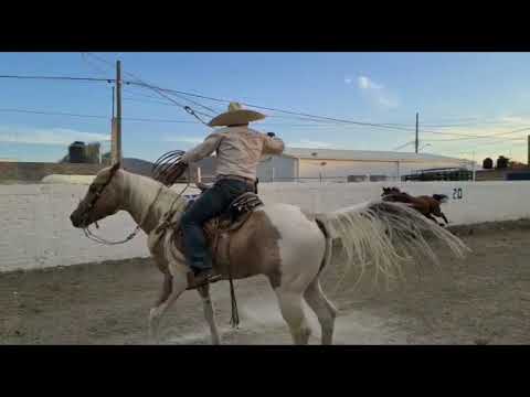 pialadero la aldea 2023 2 parte