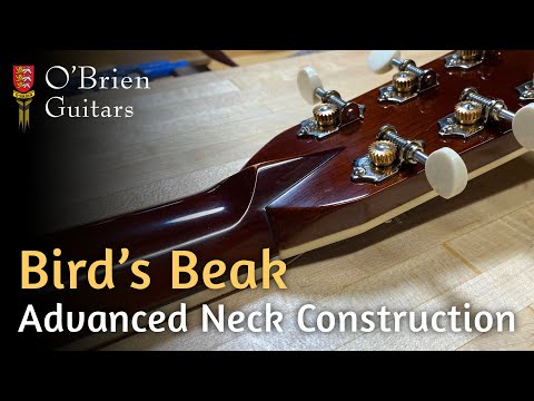 Advanced Neck Construction: The Bird's Beak