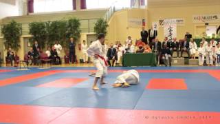 preview picture of video 'Démonstration karate kata bunkai Kanku sho : AKDC : Coupe de France 2014  Tai Jitsu'