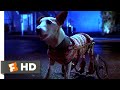 Babe: Pig in the City (1998) - Flealick's Wild Ride Scene (7/10) | Movieclips