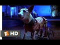 Babe Pig In The City 1998 Flealick S Wild Ride Scene 7 10 Movieclips