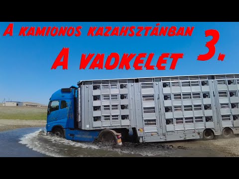 A kamionos Kazahsztánban 3.rész. A vadkelet