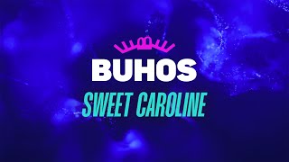 Buhos - Sweet Caroline