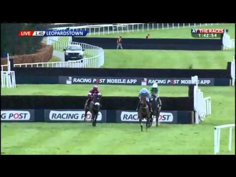 Un De Sceaux Frank Ward Solicitors Arkle Novice Chase (G1) 2015
