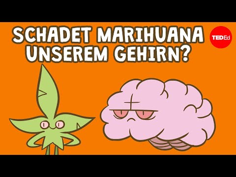 Schadet Marihuana unserem Gehirn? – Anees Bahji
